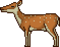 spotted_doe.png