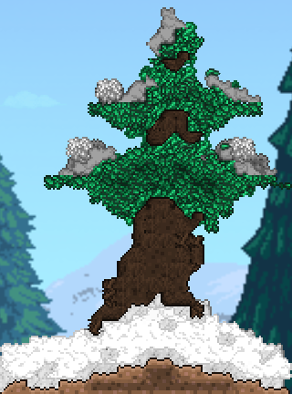 Spruce Tree.png