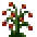 StrawberryPlant (1).png