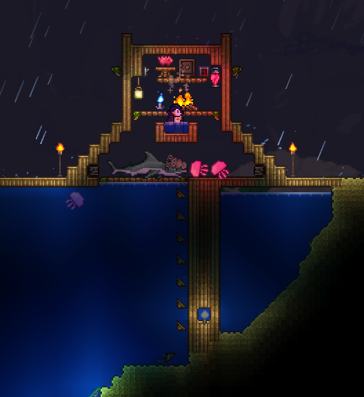 terraria hoiking trouble.png