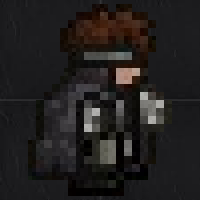 Terraria Neo-Ninja.png