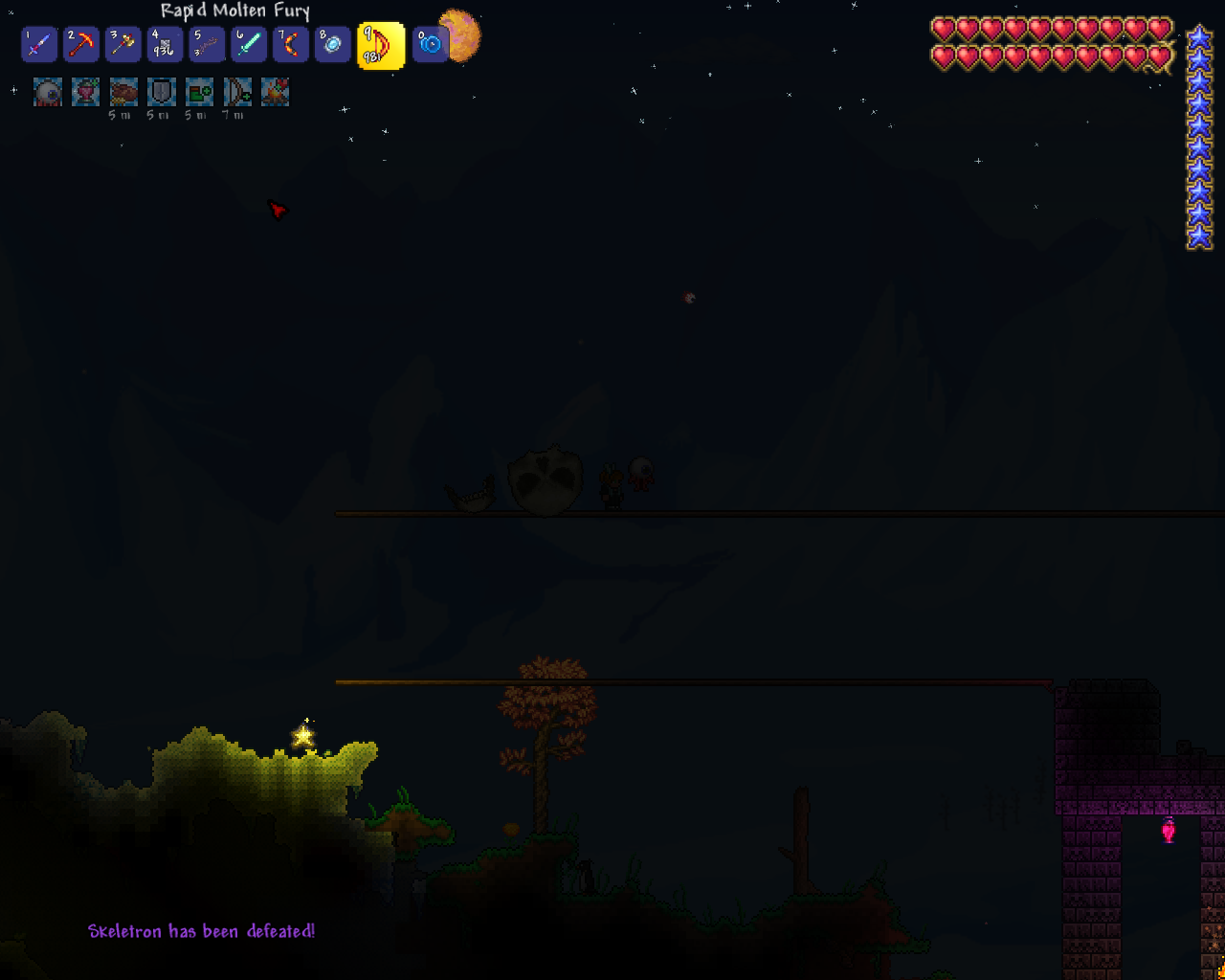 Terraria_2021_03_15_01_06_16_032.png