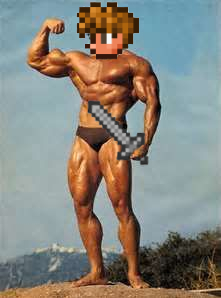 Terrarria_Bodybuilder_costume.jpg