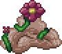 TheFlower.png