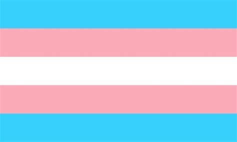 trans flag.jpg