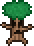 Tree Man.png