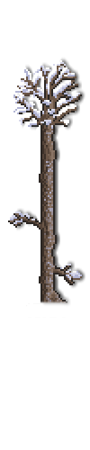 tree snow right.png