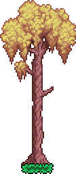 Tree_(Willow).png