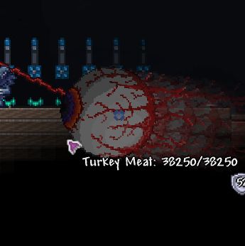 Turkey Meat.jpg