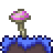 Violet_Cap - Copy.png