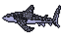 whale shark.png