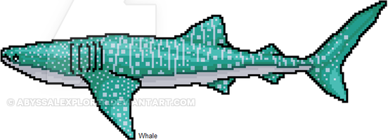 whale shark wip.png